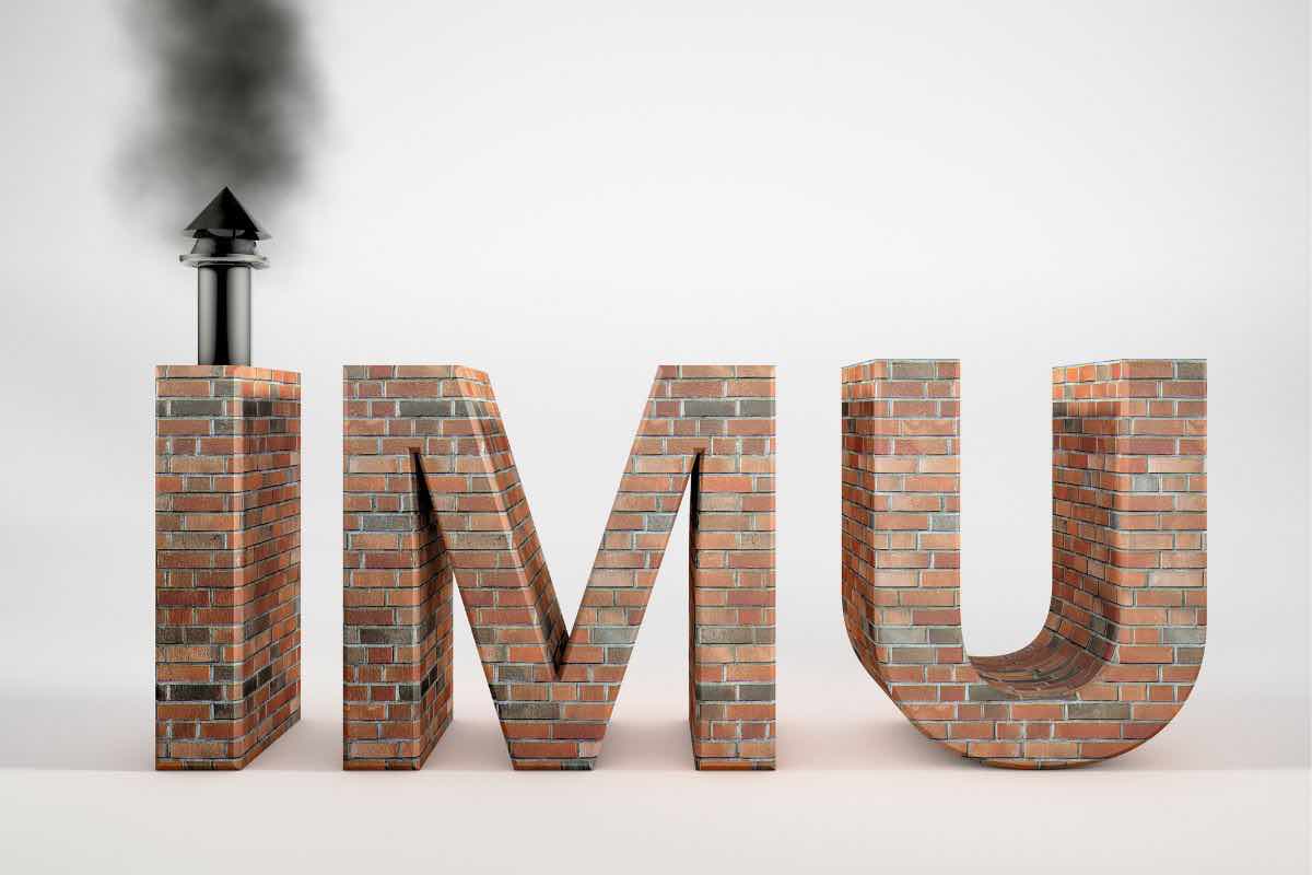 IMU logo 